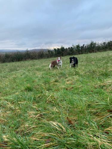 Cwtch Farm Bed & Breakfast