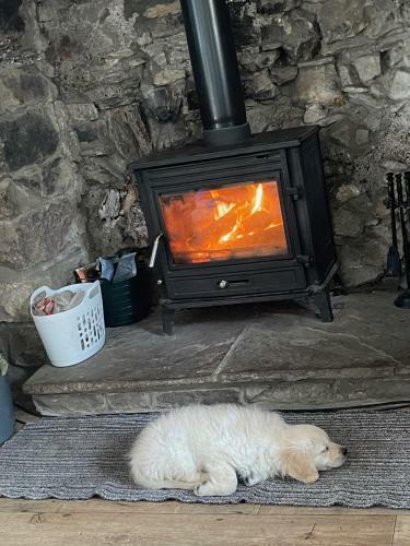 Cwtch Farm Bed & Breakfast