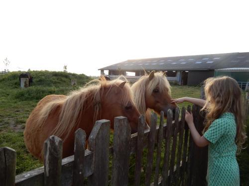 Holiday Home Cuylehoeve