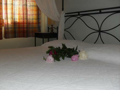 Agroturismo Agriturismo Lama Di Valle Rosa