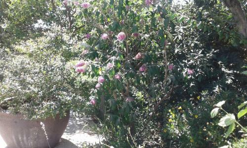 Bed & Breakfast Mich�le Et Didier Lin