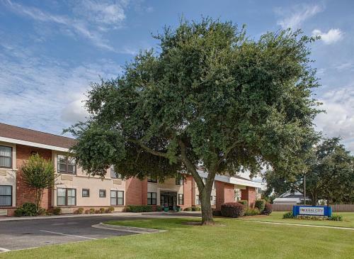 Hotel Federal City Inn & Suites