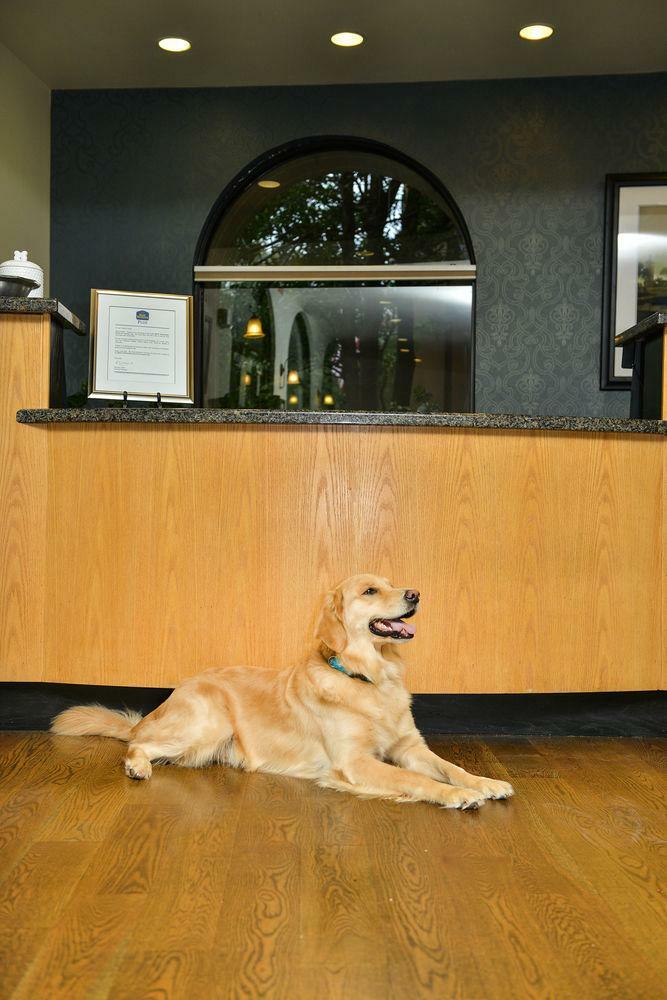 Hotel Best Western Plus St. Charles Inn