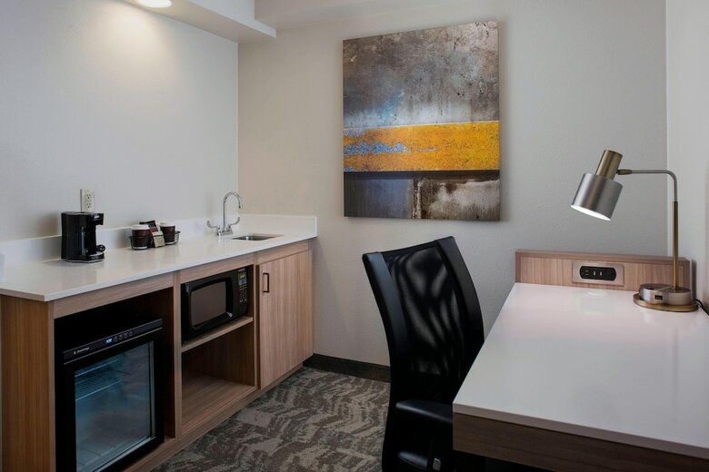 Hotel Springhill Suites By Marriott New Orleans Downtown