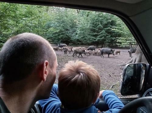 Agroturismo Le Refuge Ardennais