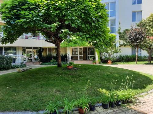 Beutiful Ground Floor Apartment Close To Beach