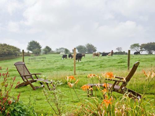 Exmoor View
