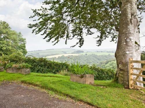 Exmoor View