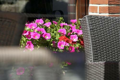 Bed & Breakfast Ferme St Martin