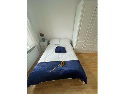 Hostal Stunning Double Room South Wimbledon
