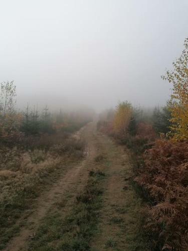 Le Haut' Mont
