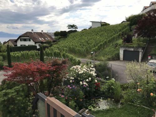 Apartamento La Maison Du Lac