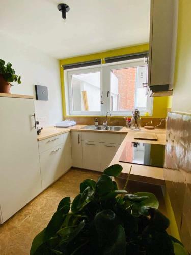Apartamento Sauveniere 10
