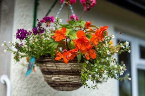 Hampsfell Cottage, Quaint And Comfy By The Lake District