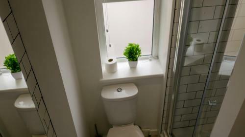 Luxury Corporate Modern Apartment