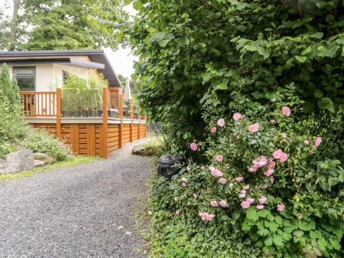 Robin Lodge