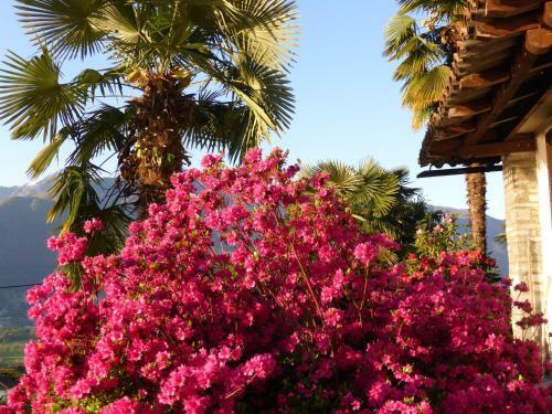 Apartamento Casa Petra 1 1/2 Zi, Orgnana 83