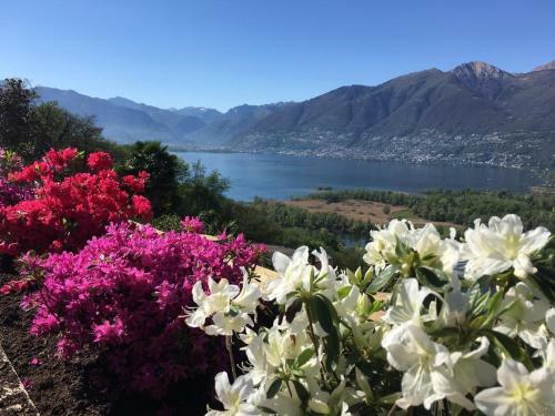 Luxusvilla ***** In Cavriana, Tessin