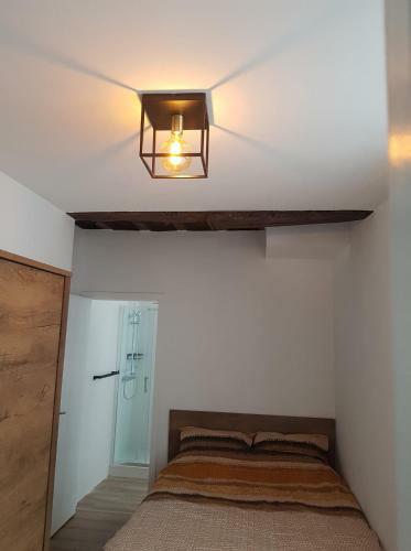 Apartamento Al In Den Aap Gelogeerd?