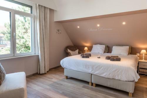 B&B Alegr�a