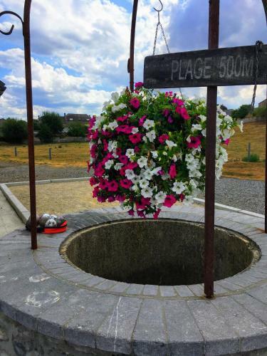 Le Grenier De La Floye - G�te Coquelicot