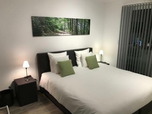 Hostal Penthouse Lebierre