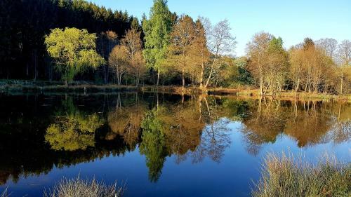 Les �tangs Du Thioux Bed & Breakfast
