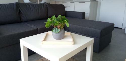 Apartamento Terrasses De Malmedy M&i