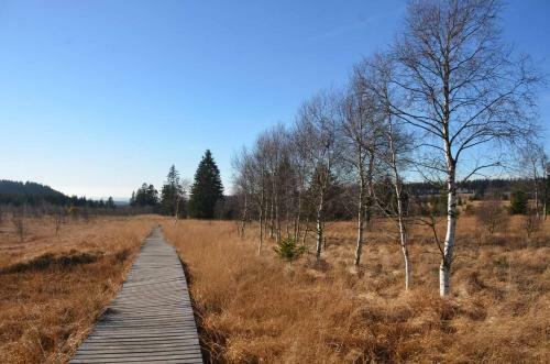 Apartamento Terrasses de Malmedy Duplex Leana Lodge 441