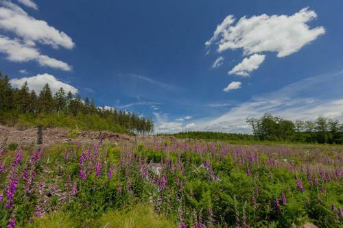 La Mignonne Des Fagnes