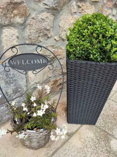 Bed & Breakfast Les Arpents Verts