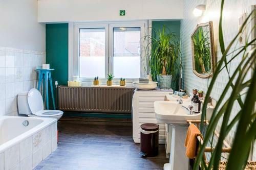 Vakantiewoning In Mol Centrum Met Eigen Bar "casacuriosa"