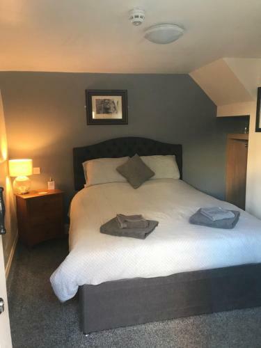 Motel The Swan Inn Newport