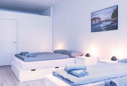 Hitrental Zur Metzgern Apartments