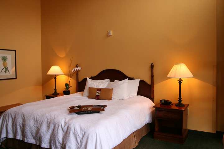 Hotel Hampton Inn And Suites New Orleans Convention Center