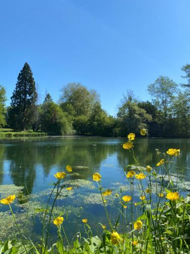 Bed & Breakfast Domaine De Vadancourt
