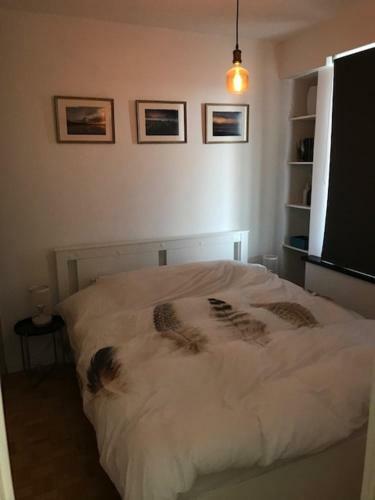 Apartamento Anaconda