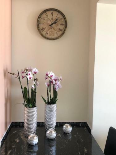 Apartamento Cintra