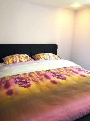 Apartamento Cintra