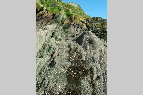 Top Deck - Ancient Fishing Village - Available Sat - Sat