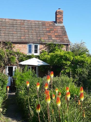 Bed & Breakfast Morland