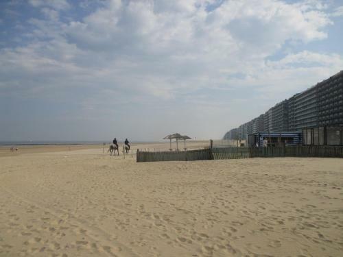 Apartamento Studio On The Beach With Sea View
