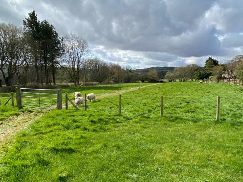 Apple Farm Holiday Cottages