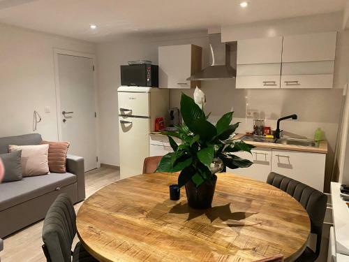 Apartamento Chezpetitoscar