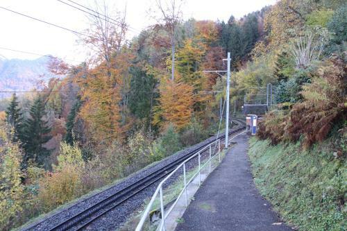 Gais Alpins