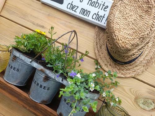 Apartamento Chez Seb & Lulu, Studio D'h�tes