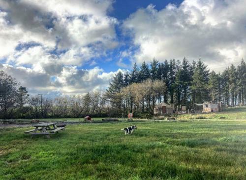 Apartamento Yurt With Log Burner & Pizza Oven By The Pond