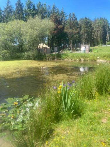 Apartamento Yurt With Log Burner & Pizza Oven By The Pond