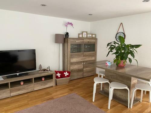 Apartamento Haus Wiggis