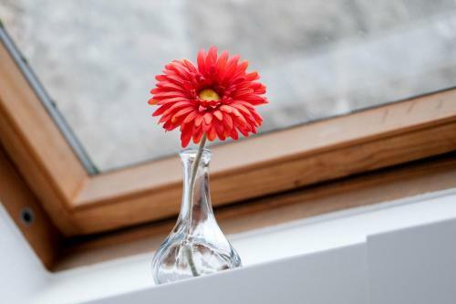 Apartamento Les Cerisiers - Duplex De Standing Au Centre De Namur